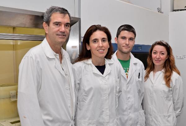 Junto a Hermenegildo García (ITQ), en el desarrollo del material han participado también Mercedes Álvaro y Juan F. Blandez, del Departamento de Química de la UPV, junto con Ana Primo e Ivan Esteve, ambos del Instituto de Tecnología Química (UPV-CSIC).